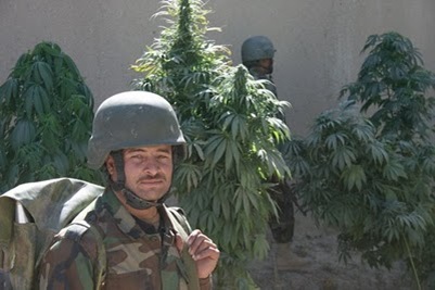 afghan-soldier-and-weed-in-baraki-barak-oct-18-2009